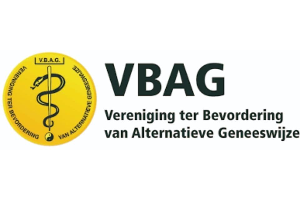 logo VBAG